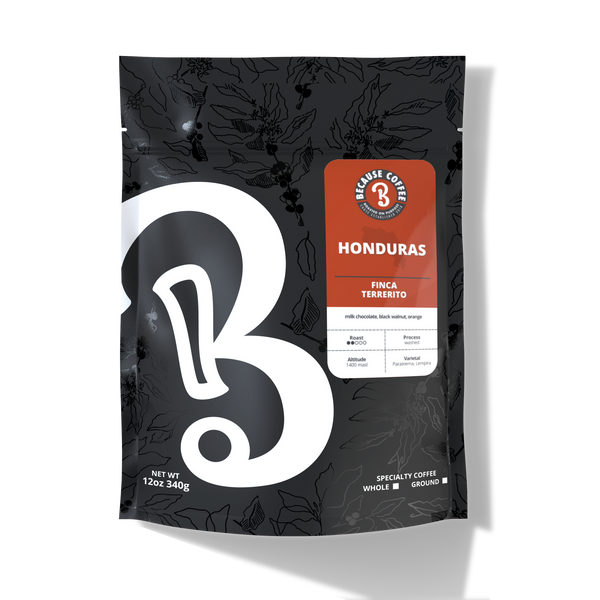 Honduras Finca Terrerito